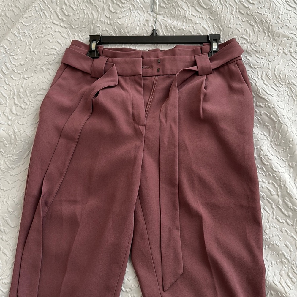 Express Dress Pants
